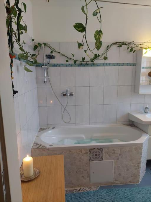 Schoene Helle Wohnung Mit Whirlpoolbadewanne Graz Exterior foto